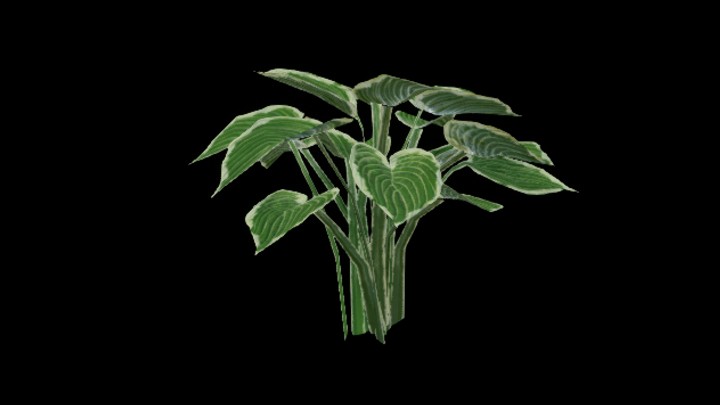 UE项目资源_模型资源_草2688