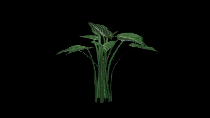 UE项目资源_模型资源_草2689