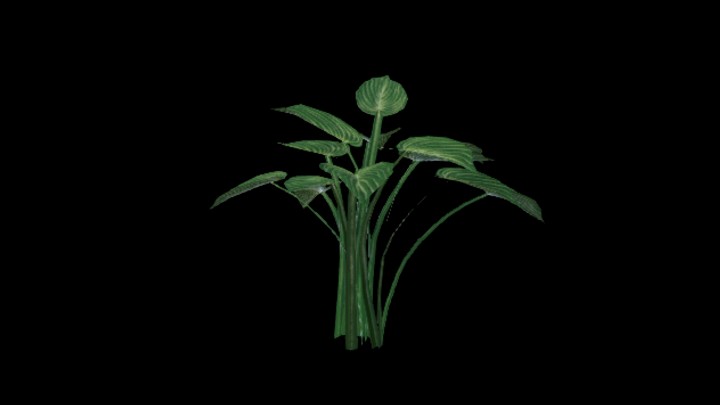 UE项目资源_模型资源_草2690