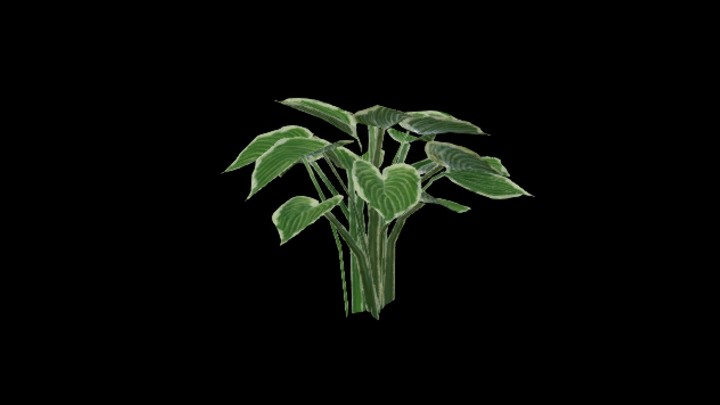 UE项目资源_模型资源_草2699