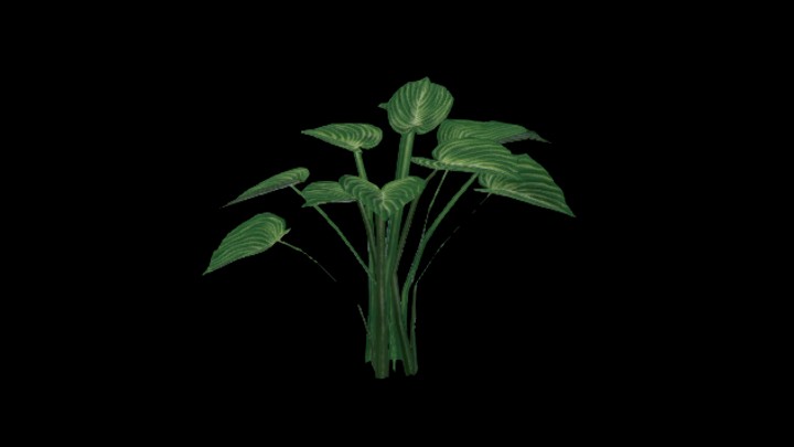 UE项目资源_模型资源_草2703