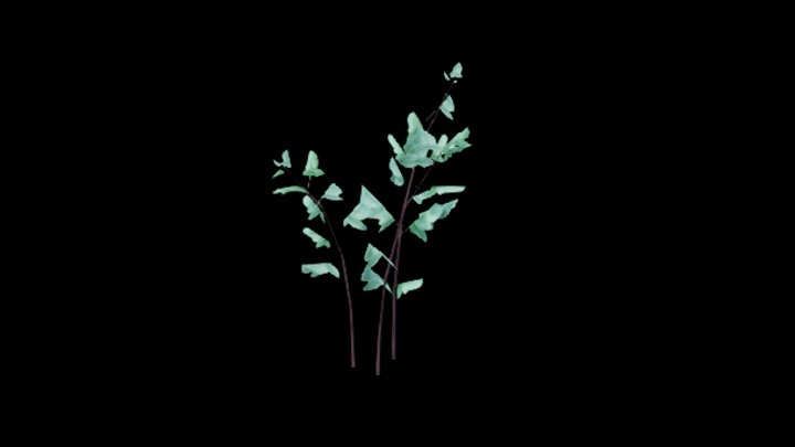 UE项目资源_模型资源_草2705