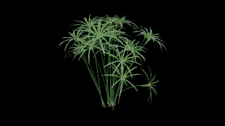 UE项目资源_模型资源_草2713