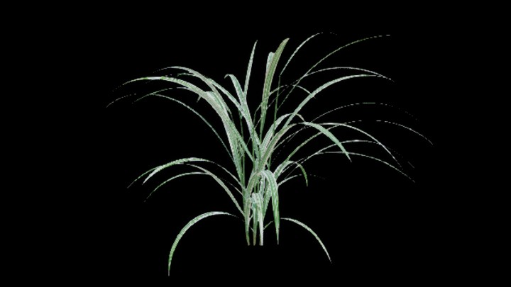 UE项目资源_模型资源_草2716