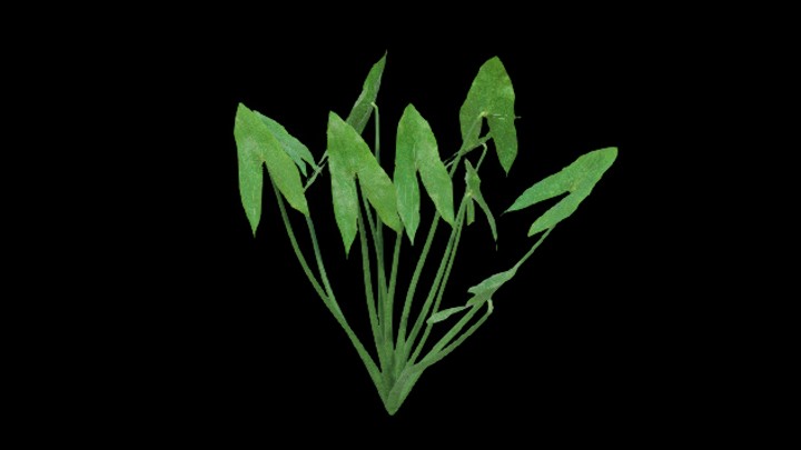 UE项目资源_模型资源_草2720