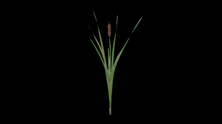 UE项目资源_模型资源_草2727