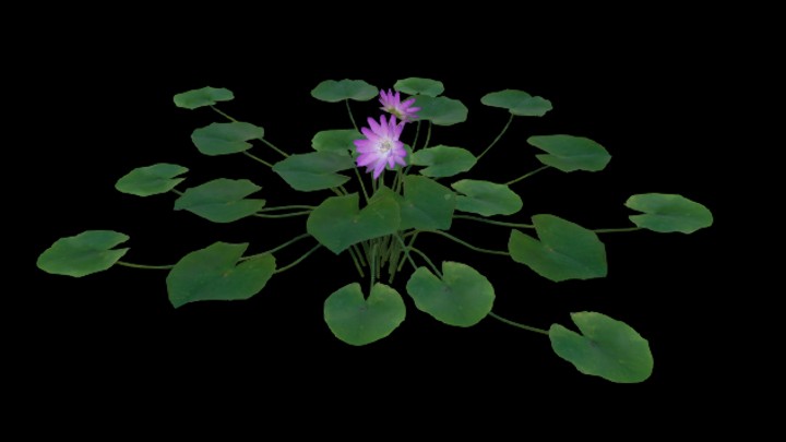 UE项目资源_模型资源_荷叶016