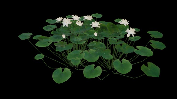 UE项目资源_模型资源_荷叶021