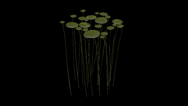 UE项目资源_模型资源_莲叶003