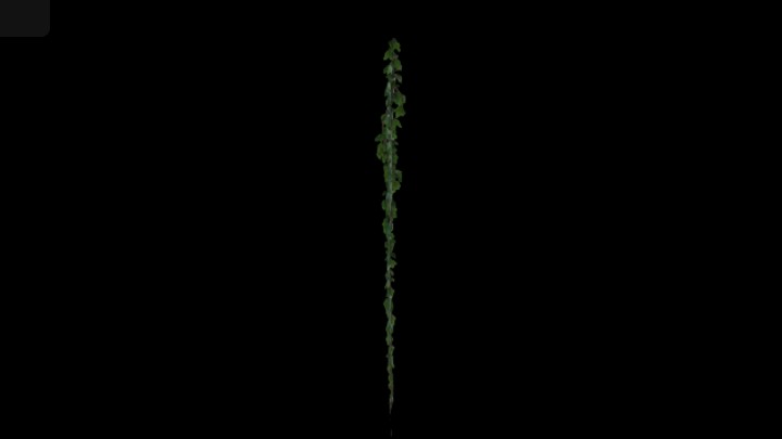 UE项目资源_模型资源_藤蔓199