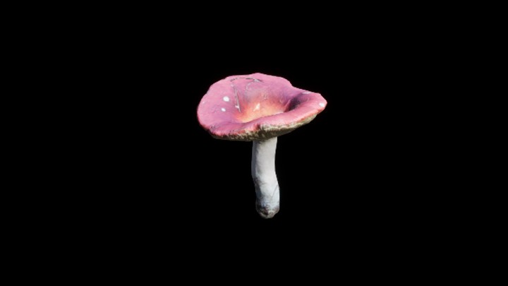 UE项目资源_模型资源_蘑菇357