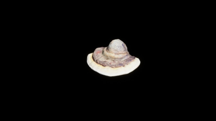 UE项目资源_模型资源_蘑菇371