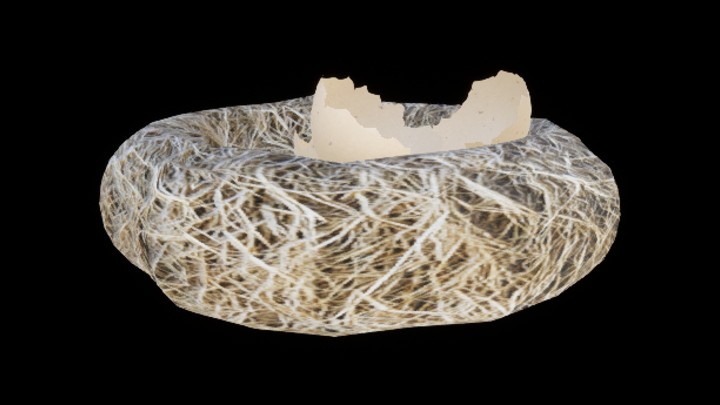 UE项目资源_模型资源_鸟窝006