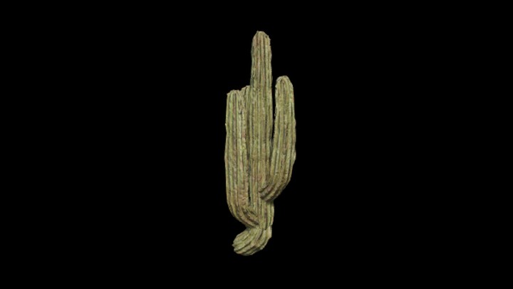 次世代_仙人掌033