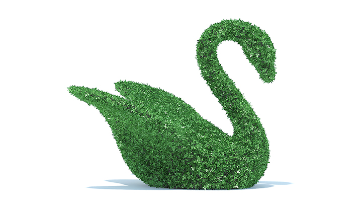 渲染模型_园艺植物015