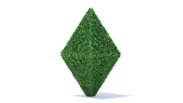 渲染模型_园艺植物016