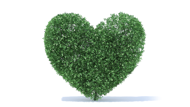 渲染模型_园艺植物021