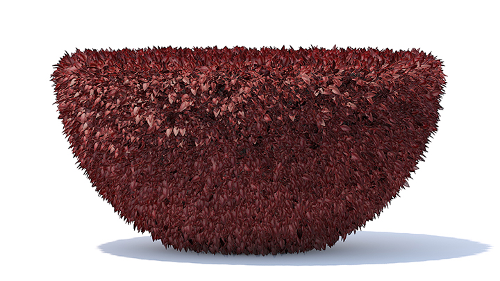 渲染模型_园艺植物030