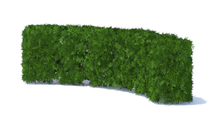 渲染模型_园艺植物032