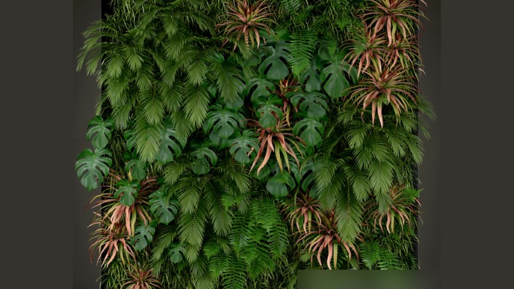 渲染模型_墙上植物001
