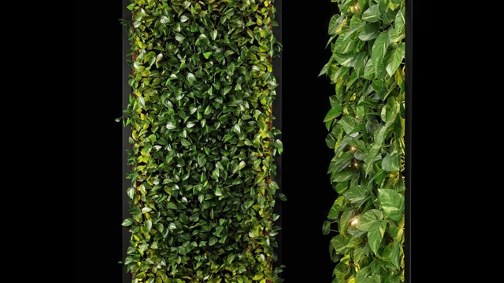 渲染模型_墙面植物005