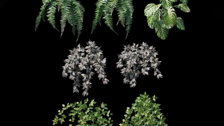 渲染模型_墙面植物009