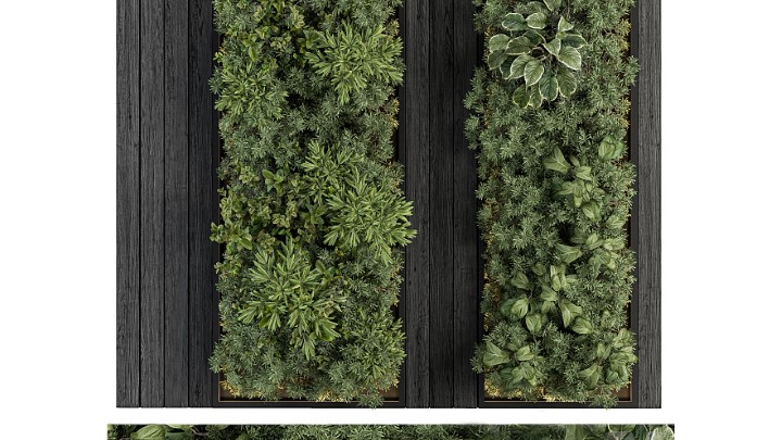 渲染模型_墙面植物011