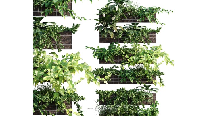 渲染模型_墙面植物016