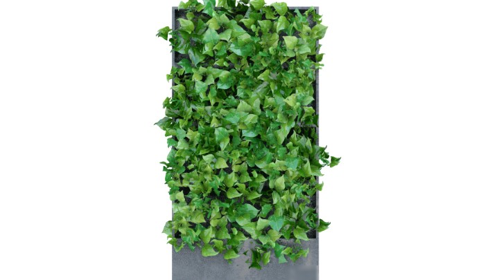 渲染模型_墙面植物019