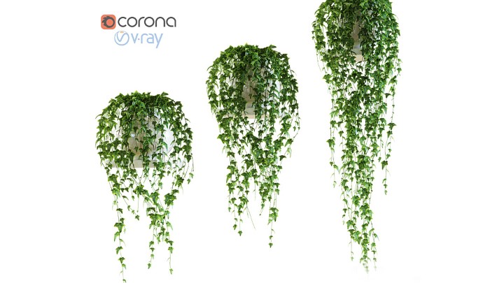 渲染模型_墙面植物023