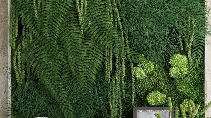 渲染模型_墙面植物025