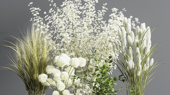 渲染模型_室内插花045