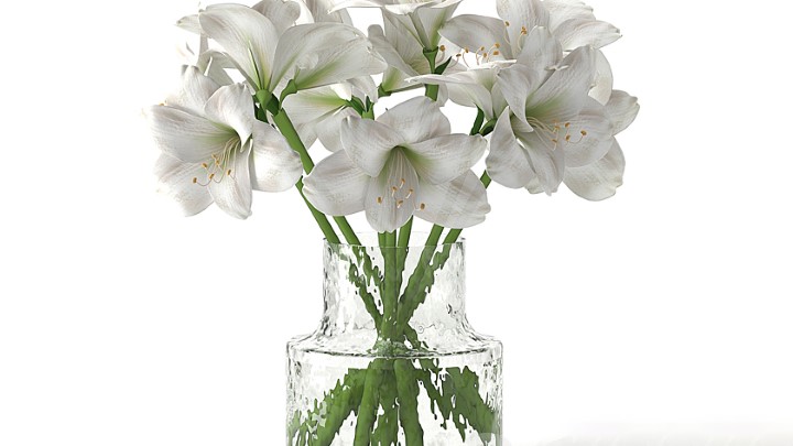 渲染模型_室内插花048