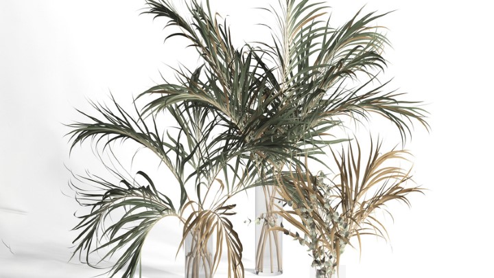 渲染模型_室内插花062