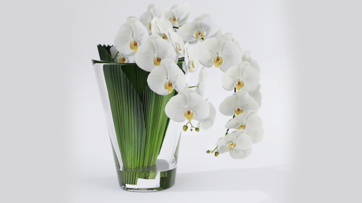 渲染模型_室内插花086