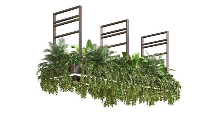 渲染模型_室内植物334