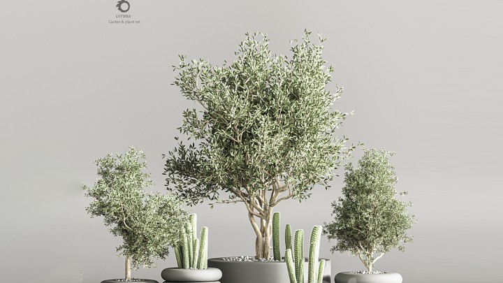 渲染模型_室内植物339