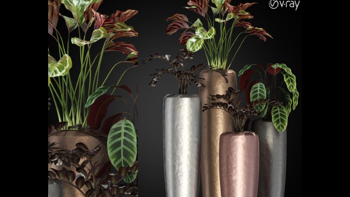 渲染模型_室内植物359