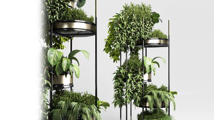 渲染模型_室内植物366