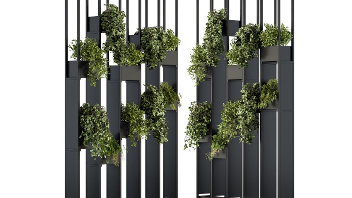 渲染模型_室内植物372