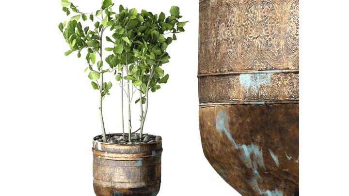 渲染模型_室内盆栽092