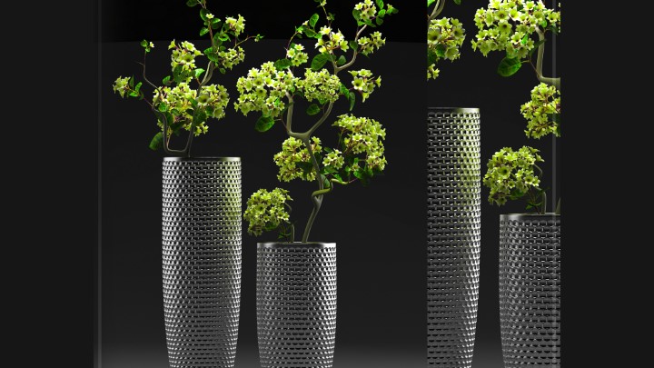 渲染模型_室内盆栽093