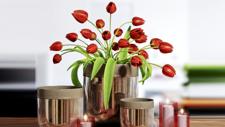 渲染模型_室内盆栽094