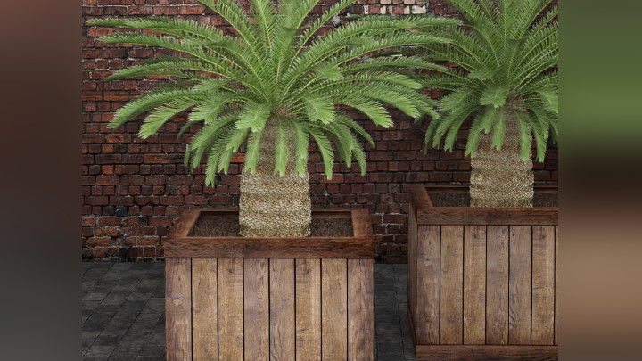 渲染模型_室内盆栽108