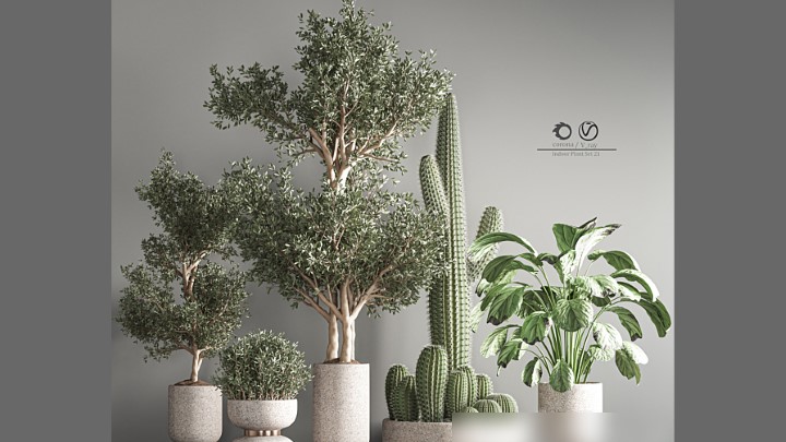 渲染模型_室内盆栽115