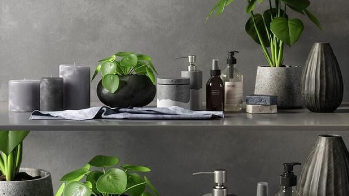 渲染模型_室内盆栽123