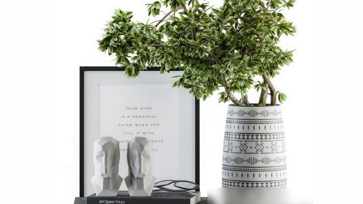 渲染模型_室内盆栽126