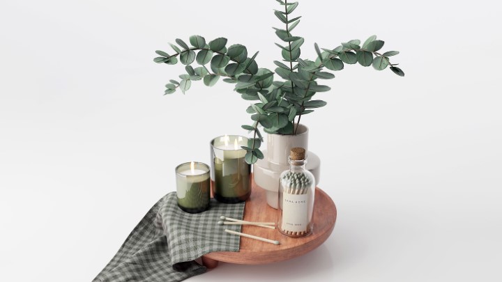 渲染模型_室内装饰品152