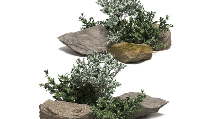 渲染模型_室外植物084