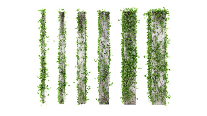 渲染模型_方柱的叶片001